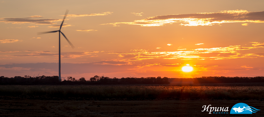 Самостоятелни стаи Ирина, Крапец