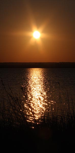 село Крапец, Добрич